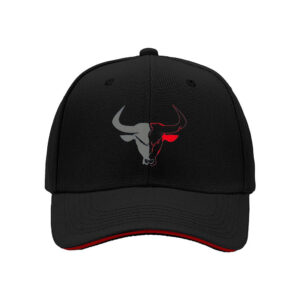 Chicago Bulls Logo Baseball Cap for Men Sport Fan Gift Holiday Present Team Spirit Wear