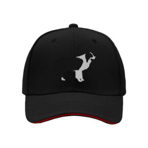 Border Collie Dog Print Baseball Cap for Men Outdoor Pet Lover Gift Christmas Holiday Present