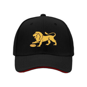 Golden Lion with Disc Symbol Men's Baseball Cap for Festivals and Gifts ﾨC Perfect for Leo Zodiac Fans and Holiday Presents